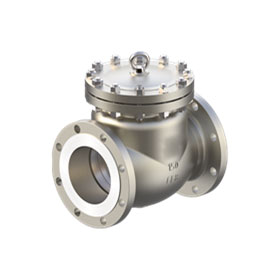 Single-disc swing flange check